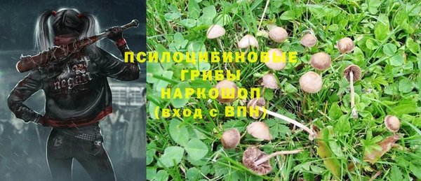 каннабис Арсеньев